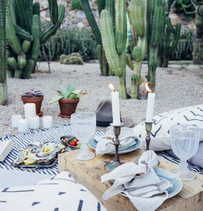View,Of,Perfect,Romantic,Date,Setup,In,Cactus,Park,,With
